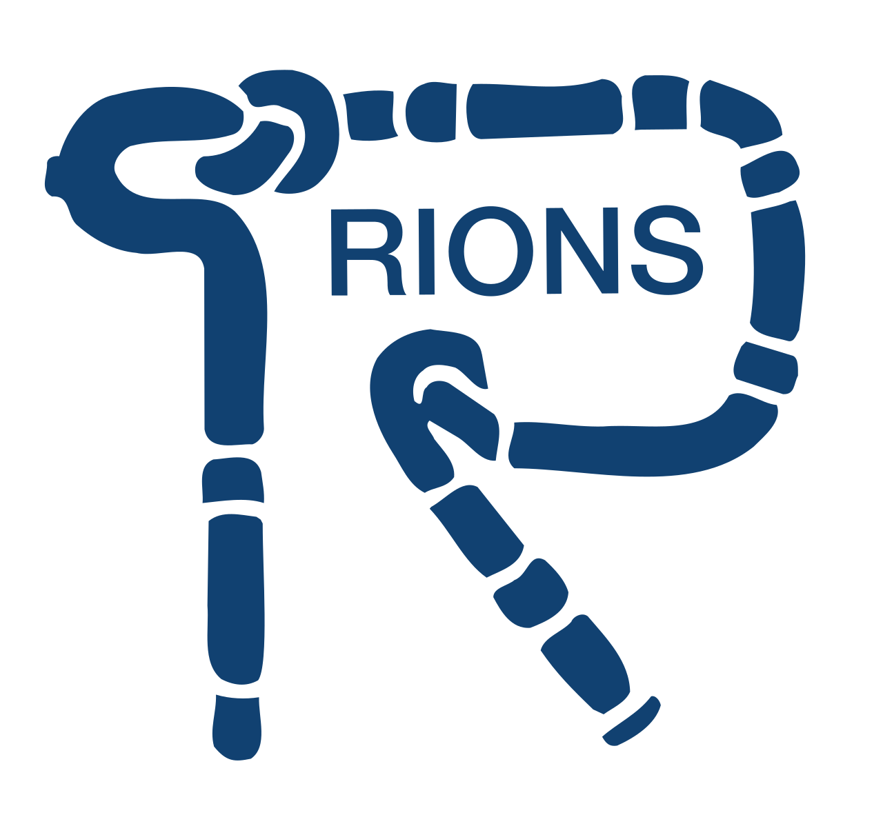 Rions